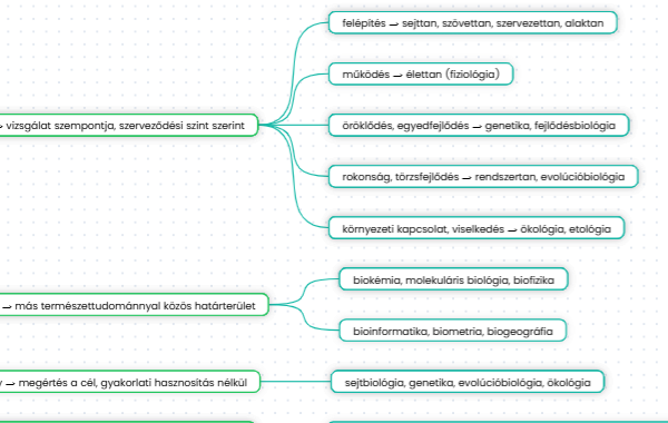 Biológia lecke gondolattérképe a végtelen rajztáblán, ágakra bontott kulcsfogalmakkal és összefüggésekkel.